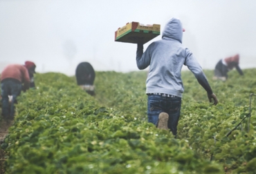 En Colombia existen varias aplicaciones bajo el modelo de crowdfarming para ayudar a los campesinos, así como hay otras iniciativas para ganaderos en el mundo. Foto: rightforeducation.org que es crowdfarming