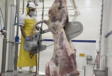 Entre enero y junio el beneficio de ganado bovino disminuyó 6,7 % en relación con el mismo periodo de 2021, mejor que el resultado del 1er trimestre, que registró una caída de 12 %. Foto: frigocafe.com sacrificio bovino en primer semestre de 2022