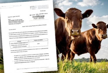 El error se presentó porque entre los impuestos que se pretenden imponer a alimentos ultraprocesados se incluyó la nomenclatura 02.01, que corresponde a la carne bovina, para la carne y despojos secos o ahumados, que es la 02.10. Foto: concepto.de impuesto a la carne en la reforma tributaria