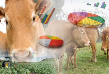 El PIB agropecuario tuvo un crecimiento del 1 % en el primer semestre donde actividades como la exportación de ganado contribuyeron al resultado por lo que no se puede bajar la guardia en ese aspecto, según un estudio de Bancolombia. Foto: analdex.org - creatiabusiness.com - Fedegán FNG Actividades agropecuarias