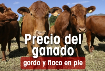 Ilustración: CONtexto ganadero Precios del ganado en la semana septiembre 9-15_22