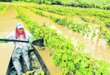 Por las inundaciones que se han presentado en el campo en el segundo semestre es previsible que la oferta se reduzca en la primera parte de 2023. Foto: El País Inundaciones en el sector agrícola