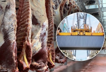 Con corte al 3er trimestre de 2022, el costo de las importaciones de carne de res y despojos supera al de los totales anuales de años anteriores salvo 2021. Foto: Manual de Comercio Exterior - Colombian Cattle S.A.S. importaciones de carne de Colombia en septiembre de 2022
