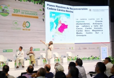 “Hay una política para el sector cárnico y lácteo. Ya está diseñada y ya va a arrancar con unas metas claras como el aumento en la productividad en leche y carne", afirmó la ministra de Agricultura, Cecilia López Planes Maestros de reconversión Carne y leche