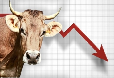 Las presiones inflacionarias, entre otras razones, llevaron a que el sector ganadero se desacelerara en el primer semestre del año, según un informe de Davivienda. Foto: Cortesía Producción bovina se desacelera