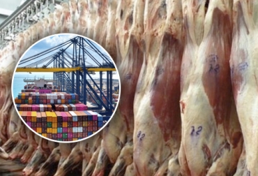 Las importaciones de carne bovina y despojos crecieron más de 25 % hasta octubre de 2022 con respecto a los primeros 10 meses del año anterior. Foto: SICEX - Agricultura & Ganadería importaciones carne colombia octubre de 2022
