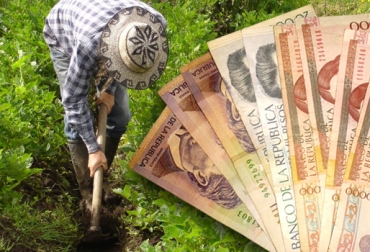 Campesinos piden que el 4x1.000 se mire 14 o 15 años hacía adelante. Foto: CONtexto Ganadero. 4x1000 para el sector agropecuario