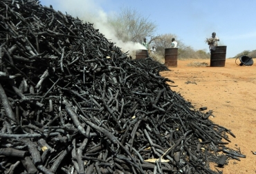 La producción carbonífera de Colombia registró 89,2 millones de toneladas en 2012, un incremento del 3,96% frente a 2011. © AFP tony karumba Carbón colombiano