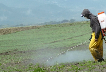 El curso es gratuito y se realiza en diferentes épocas del año. Foto: Cortesía. agroinsumos, insumos agrícolas, costos producción