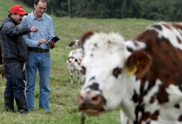 La Anif indicó que el campo necesita una política agropecuaria de Estado, opinión que han expresado los gremios productivos. Foto: www.revistamprende.com. Ganadería Colombia