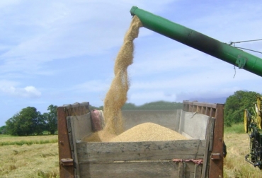 Dignidad Arrocera del Meta afirmó que estará en el paro del 19 de agosto por el incumplimiento de los acuerdos pactados con el Gobierno. Foto: CONtexto Ganadero. arroceros del Meta se unen a paro agrario del 19 de agosto