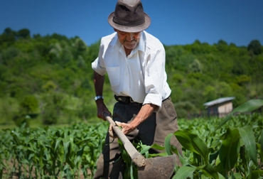 Finagro indicó que el plazo para hacer parte de esta importante iniciativa se vence dentro de 3 semanas. Foto: Finagro. Factoring agropecuario