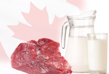 Se cumplen 2 años del acuerdo comercial con Canadá. Foto: CONtexto ganadero. TLC Colomia Canadá