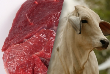 Las exportaciones de productos agropecuarios tuvieron una disminución del 1,9%. Foto: CONtexto ganadero. Exportaciones de carne y ganado en pie