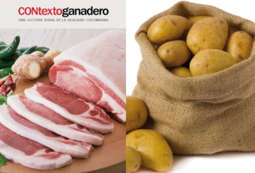 Tanto Asoporcicultores como Fedepapa le piden al Gobierno nacional dar solución al paro agrario. Foto: CONtexto ganadero. Pérdidas económicas por paro agrario
