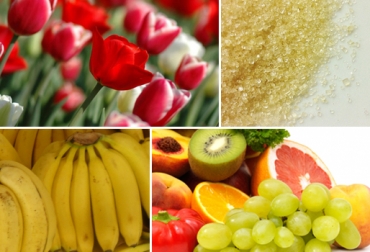 Los exportadores han logrado cubrirse a una tasa promedios de $1.993 por dólar. Foto: CONtexto ganadero. Programa de Coberturas Cambiarias de Finagro