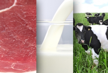 La llegada de carne se debe a la vigencia de acuerdos comerciales que incentivan el consumo de productos externos. Foto: CONtexto ganadero. Importaciones agropecuarias Colombia 2014