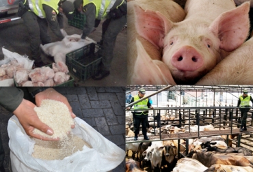 La ley busca penalizar debidamente el ingreso ilegal de productos como el arroz, la carne, entre otros. Foto. CONtexto ganadero. ley anticontrabando colombia