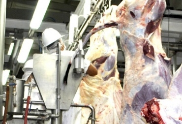 El impuesto quedó fijado en $15 mil 400 por semoviente sacrificado. Foto: CONtexto Ganadero. cuota de fomento ganadero y lechero