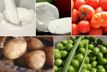 Leche, queso y lactosuero, tienen contingentes anuales de 1.644, 8 y 4.698 toneladas, respectivamente. Foto: CONtexto ganadero. Decreto salvaguardias productos agrícolas