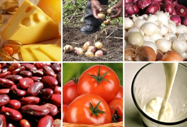 Hasta el momento se desconocen qué TLC serían cobijados por el decreto. Foto: CONtexto ganadero. Decreto salvaguardias productos agrícolas.