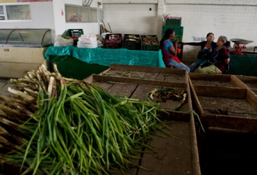 La SAC indicó que en más de $100 mil millones se registraron pérdidas por el paro agrario. Foto: AFP. Pérdidas económicas por paro agrario