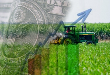 Con el incremento, productores colombianos aprovechan nuevos mercados para exportar. Foto: CONtexto ganadero. Incremento dólar en Colombia