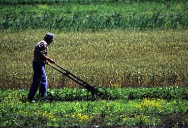 El desempleo rural bajó 0,1%, según el Dane. Foto: www.microdinero.com. Trabajo en el campo