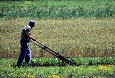 De los encuestados un 9% corresponde a grandes productores, 23% a medianos y 68% a pequeños. Foto: CONtexto ganadero. Producción en el campo, Colombia