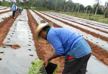 En febrero de 2014 el valor de las exportaciones en productos agropecuarios fue de USD$595,9 millones. Foto: FAO. apoyo para exportadores en colombia