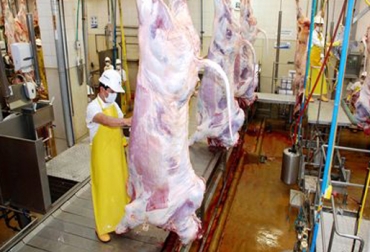 A nivel nacional las ventas externas crecieron 5,6% con relación al mismo mes de 2012. Foto: Desposte Carne La Excelencia. Exportaciones carne