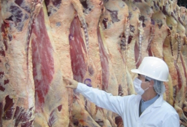 Con este aval se incrementará el sacrificio bovino. Foto: CONtexto Ganadero. Exportaciones carne