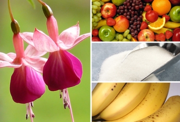 Desde 2010 hasta 2013 se han beneficiado a 528 empresas exportadoras con el programa. Foto: CONtexto ganadero. Exportaciones agropecuarias