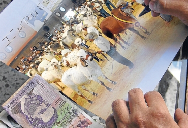 La Reforma trae efectos de gran trascendencia para la actividad ganadera bovina. Foto: Página del ganadero ganaderia y reforma tributaria.jpg