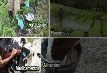 Sectores agrícola y pecuario piden más control a los precios de los insumos. Foto: CONtexto ganadero. Informe especial Insumos agropecuarios