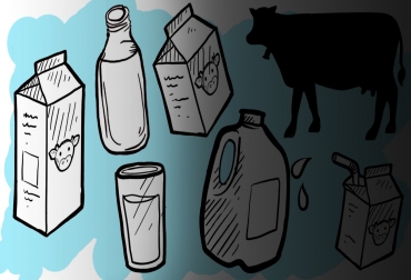 En la actualidad está la ‘Bolsa Pak’, no necesita de jarra y cualquiera puede servir la leche. Foto: CONtexto ganadero. Envases de la leche