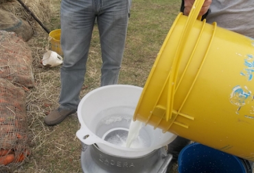 Innpulsa Lácteo apoyará proyectos de hasta un monto de $200 millones. Foto: CONtexto ganadero. Innpulsa Leche Colombia
