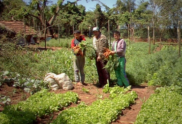 Se cree que la situación económica será positiva para el siguiente trimestre, al pasar del 21 al 36%. Foto: cedetrabajo.org. inversión campo colombiano