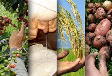 Las medidas buscan reducir los precios de los agroinsumos entre un 25 y 35%. Foto: CONtexto ganadero. Sectores productivos del campo colombiano