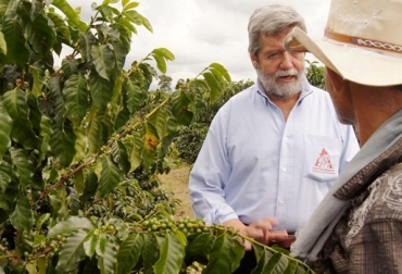 La producción del grano en el país entre enero y noviembre creció 36%. Foto: Federación Nacional de Cafeteros de Colombia. Luis Genaro Muñoz gerente general de la Federación Nacional de Cafeteros de Colombia
