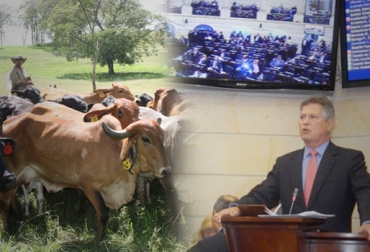 Al proyecto solo le resta la sanción presidencial para convertirse en ley. Foto: senado.gov.co y Fedegán. financiamiento del sector agropecuario