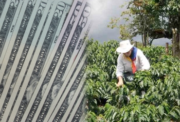 Al día de hoy el precio del dólar es de $1.905 colombianos. Foto: CONtexto ganadero. devaluación del dólar