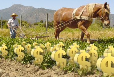 Expertos aseguran que el Gobierno debe crear más políticas que protejan a los agricultores. Foto: CONtexto ganadero. Tasa de cambio, agricultura