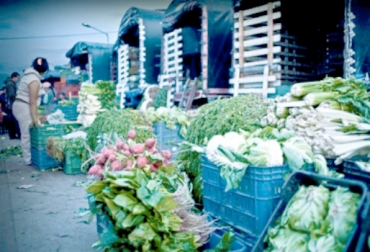 Según el BID hay dificultad en las instituciones públicas para diseñar, evaluar y ejecutar las inversiones en transporte. Foto: CONtexto ganadero. Transporte de alimentos Colombia