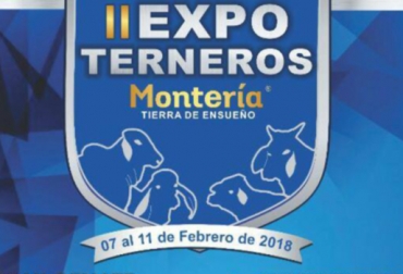 En la primera versión del evento participaron 430 bovinos. Este año se inscribieron 100 más. Foto: Cortesía II Expoterneros en Montería, Feria Expoterneros Montería, exposición de ganado en Montería, juzgamiento de ganado en Montería, remate de ganado en Montería, ganaderos de Montería, Ganaderos de Córdoba, FundHorizontes, Fundación Horizonte sin Fronteras, Alcaldía de Montería, Gobernación de Córdoba, Subastar, Asocebú, CONtexto ganadero, ganaderos Colombia, noticias ganaderas Colombia