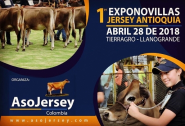 La asociación continúa en su propósito de difundir y promocionar la raza Jersey en todo el país. Foto: Asojersey 1er Exponovillas Jersey Antioquia 2018, 1er Exponovillas Jersey Antioquia, Exponovillas Asojersey 2018, Exponovillas Jersey Asojersey febrero 2018, bondades raza Jersey, Asojersey 2018, proyectos Asojersey, actividades Asojersey 2018, junta directiva Asojersey, Fedegán Asojersey 2018, CONtexto ganadero, ganaderos colombia, noticias ganaderas colombia