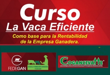 Quien quiera mejorar las cifras económicas de su ganadería debe, desde ya, inscribirse, pues los cupos son limitados -no son más de 30 los participantes-. Foto: Cortesía Fedegán, Cogancevalle, curso la Vaca Eficiente, Cartago Valle, romper mitos, llevar registros, estudio de caso, Ganadería, ganadería colombiana, noticias ganaderas, noticias ganaderas Colombia, CONtexto ganadero