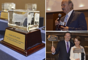 El año pasado se realizó la primera versión en el hotel W en Bogotá con gran éxito. Foto: votacioncolombia.infortamboandina.com Noche de oro infortambo 2018, segunda noche de oro, segunda noche de oro 2018, noche de oro Infortambo, Noche de Oro premios lechería Infortambo Colombia noviembre 2018, infortambo andina, premios revista Infortambo Colombia, revista Infortambo Andina, Noche de Oro Colombia 2018, lechería Colombia, CONtexto ganadero, ganaderos colombia, noticias ganaderas colombia