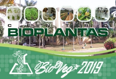 Los temas de Congreso BioVeg 2019 estan enfocados para proveer soluciones óptimas a problemas de los campos de la Biotecnología y la Agricultura. Foto: BioVeg 2019, Bioproductividad agrícola, Congreso BioVeg 2019, Cuba, Centro de Bioplantas de la Universidad de Ciego de Ávila ¨Máximo Gómez Báez¨ - Cuba, 12mo Congreso Internacional de Biotecnología Vegetal y Agricultura, BIOVEG 2019, Contexto ganadero, noticias ganaderas, agricultura de precisión, Productos naturales de plantas