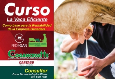 El curso incluye la evaluación personalizada de cada finca. Ilustración: CONtexto ganadero Colombia, Fedegan, Escuela de Formación Ganadera de Fedegán, Fedegán capacitación, "La Vaca eficiente como base para la rentabilidad de la empresa ganadera, leche, FABEGÁN, Oscar Ospina,", ganadería colombiana, noticias ganaderas Colombia, Contexto ganaderos, vacas